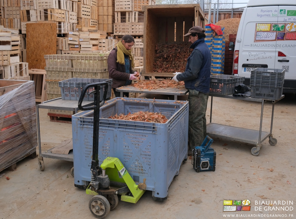 photo de palox basculé pour préparer l'échalote sur une table roulante