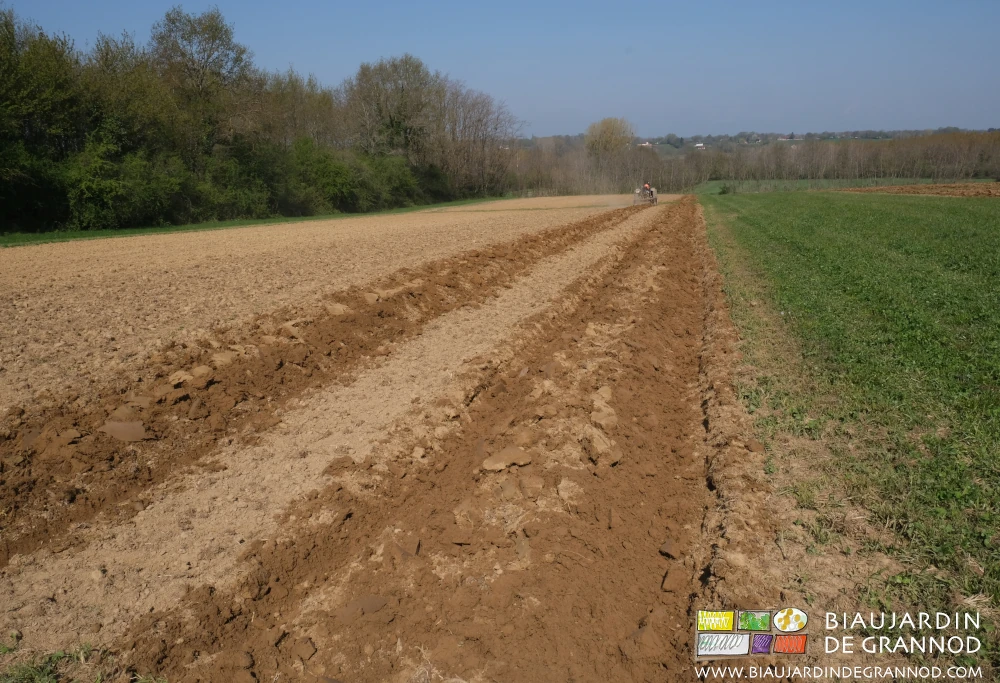 photo des carrés une planche sur deux montée alternativement