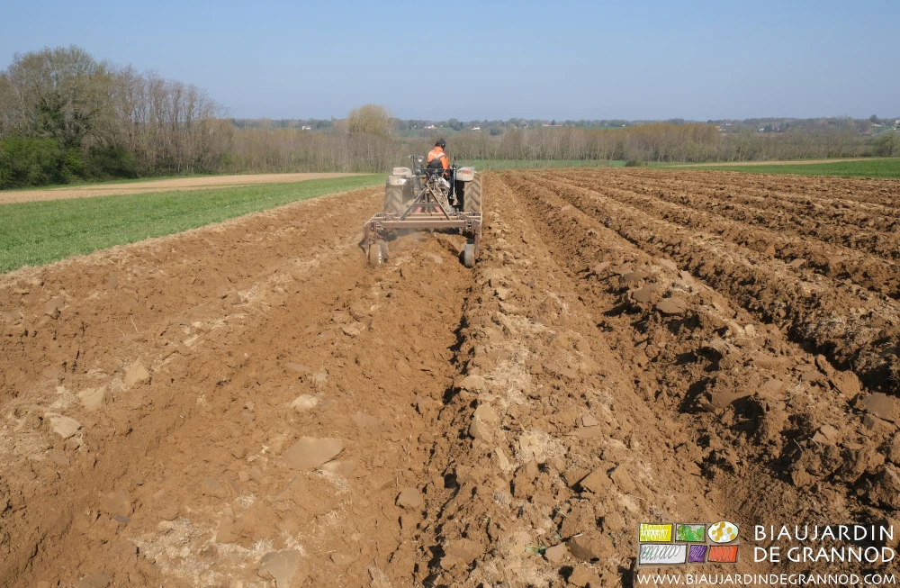 photo des carrés de maraîchage en planches permanentes montées avec la butteuse
