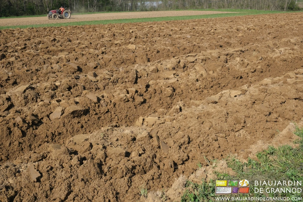 photo du résultat du travail à la butteuse pour monter des planches permanentes hautes et aérées