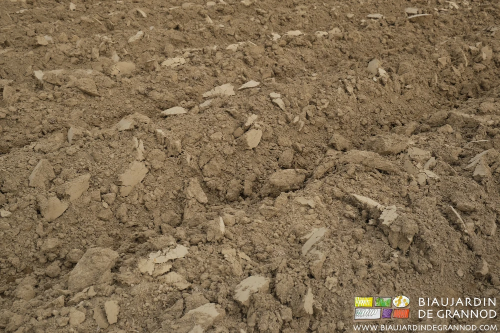 photo de détail d’une butte assez grossière pour garder la structure aérée