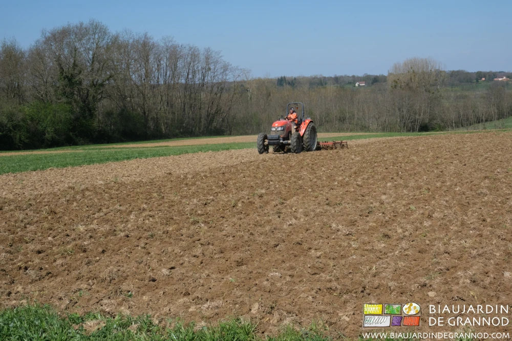 photo du deuxième déchaumage "à plat" avant et en plein avant de monter les planches à la butteuse