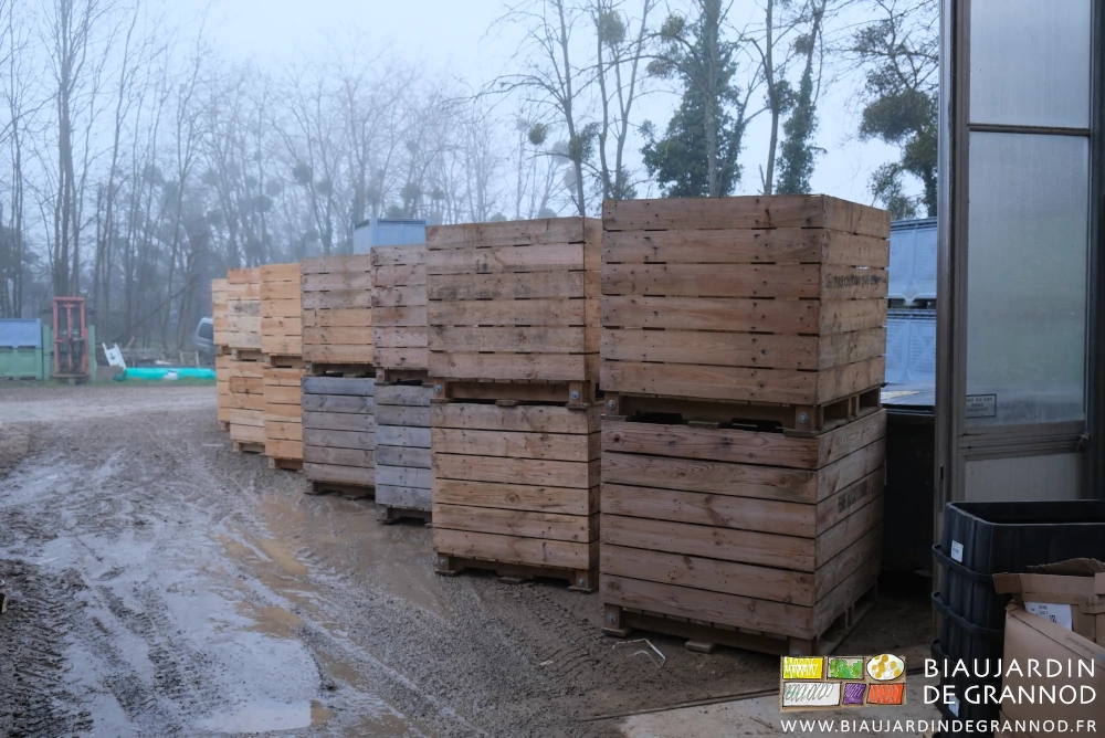 photo de jour les piles de palox vides dans la cour pour être repris et rendus