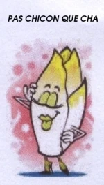 logo de l'asso Pas chicon que cha une endive féminisée dans une pause souriante
