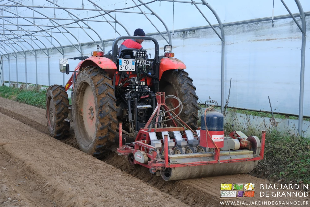 photo de Matthieu semant des planches de radis sous tunnel pas triste temps gris