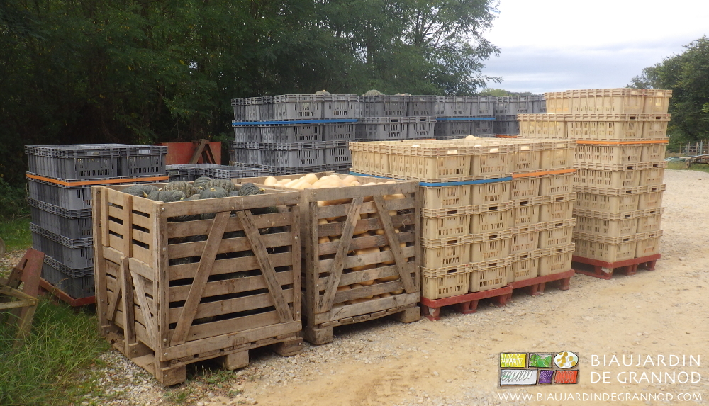 photo des palettes de cagette et des palox dans la cour en attente de rangement dans leur local