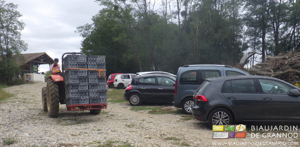 phooto du tracrteur portant une palette de caisses de courge dans la cour de la ferme