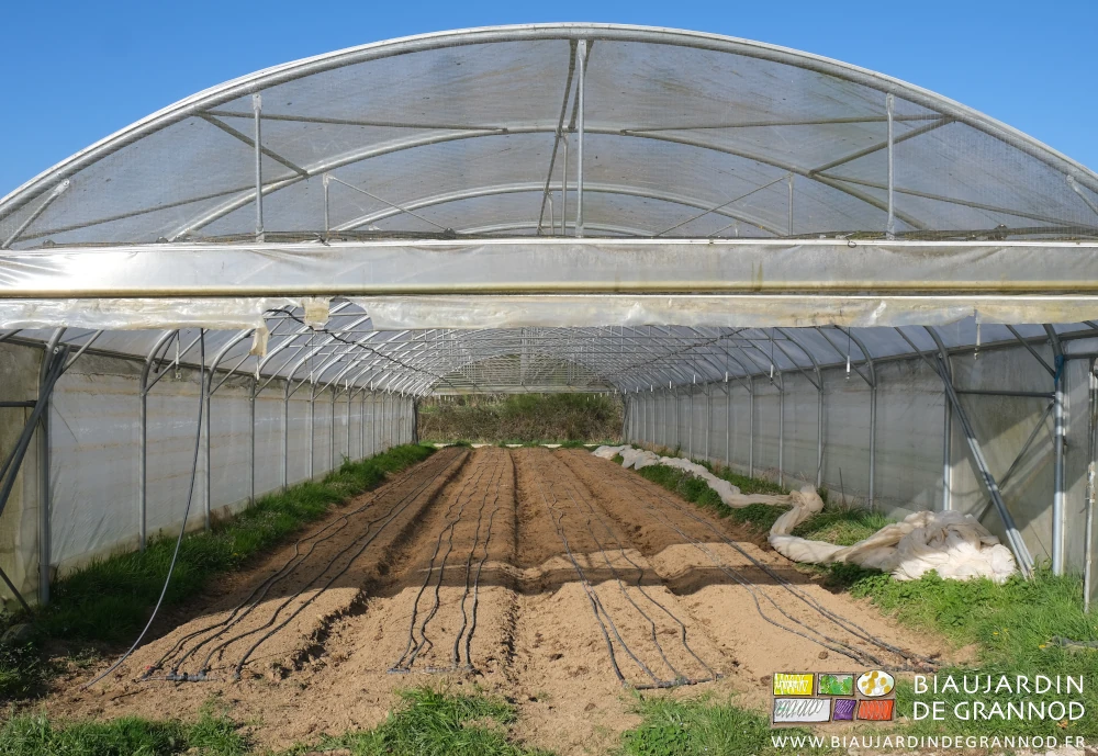 photo des gaines goutte à goutte installées sur les planches avant plantation