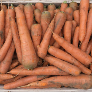 photo de carotte non lavée présentée en cagette bois