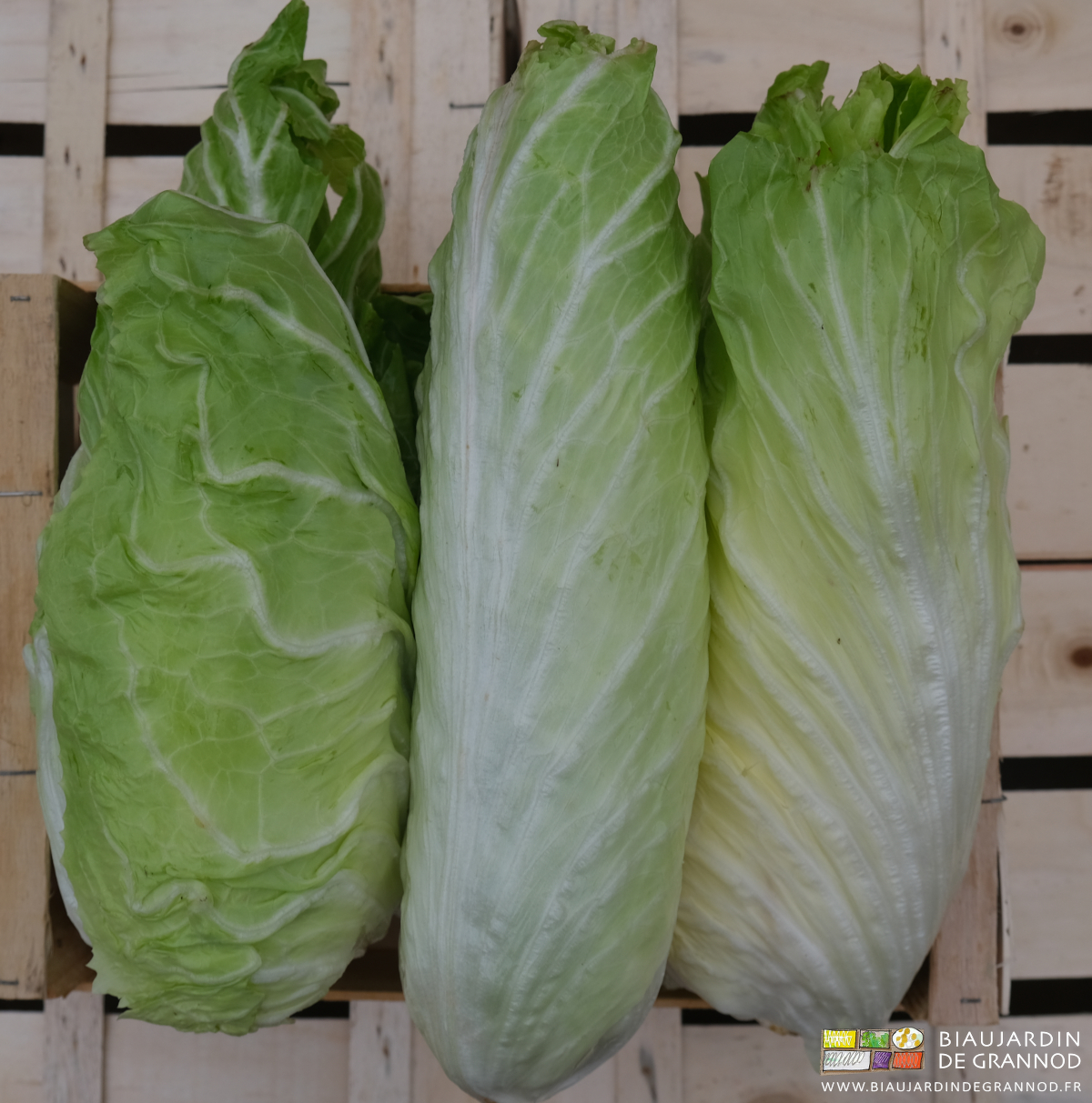 photo de pain de sucre en caisse bois