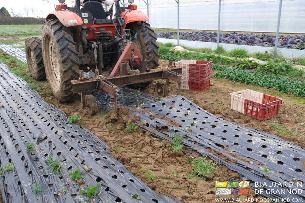 photo du tracateur au travail de soulevage du paillage juste après récolte de la mâche