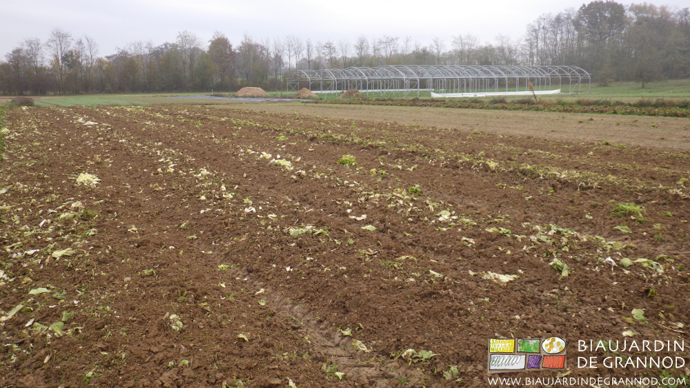 photo des planches travaillées par l'incorporation des feuilles au roloflex