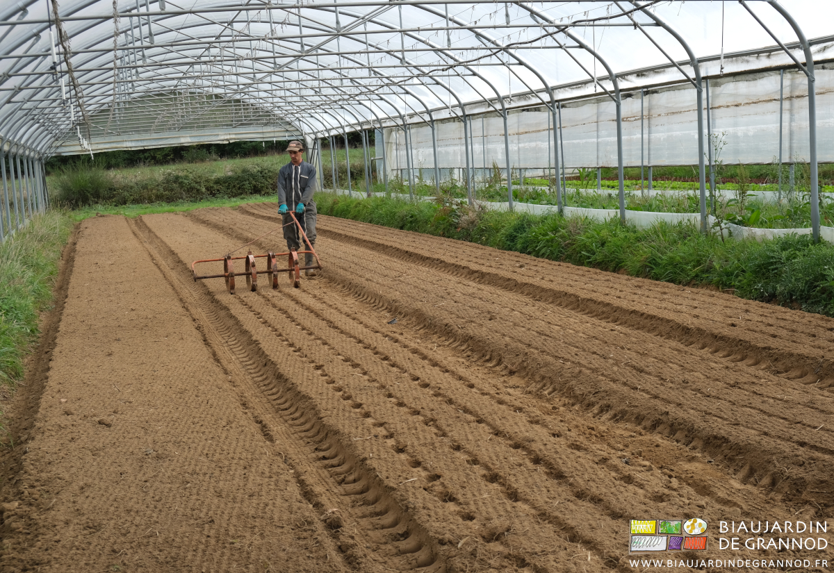 photo de Vivien qui tire le rayonneur sous tunnel pour marquer l'emplacement de chaque salade à planter