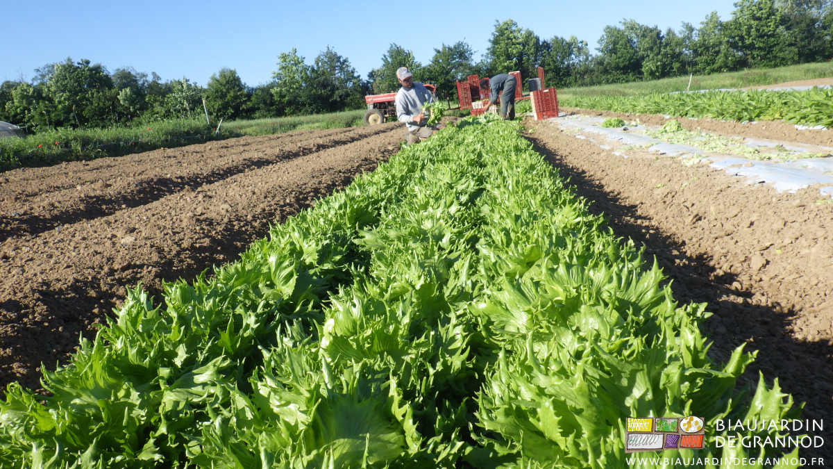 photo de matthieu à la coupe de reine des glaces