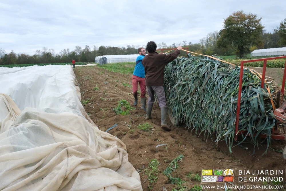 photo de la remorque avec le chargement de poireau sanglé pour le transport