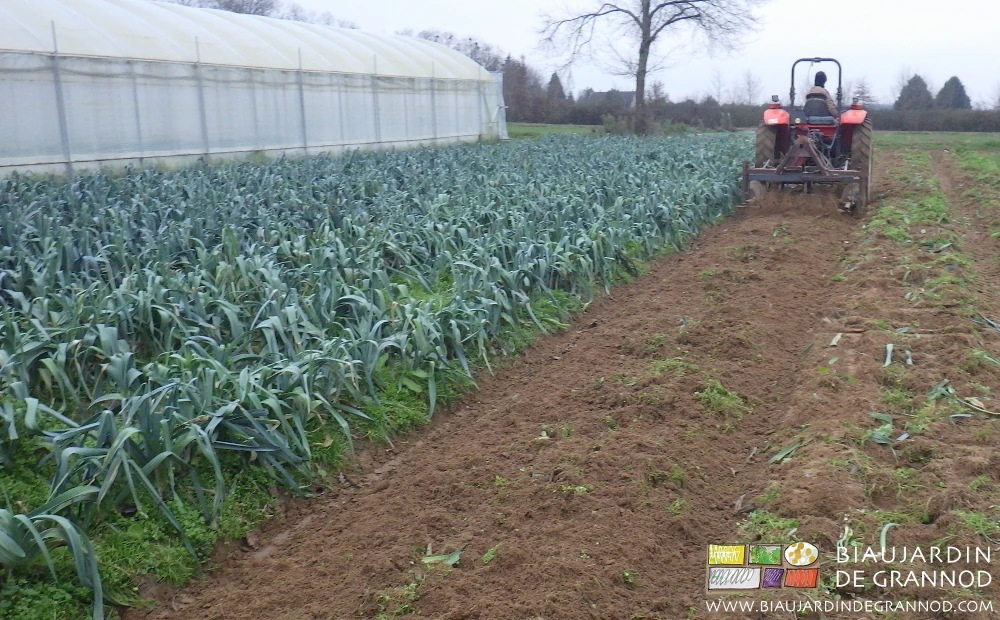 photo de reprise au cultibutte pour incorporer les résidus végétaux