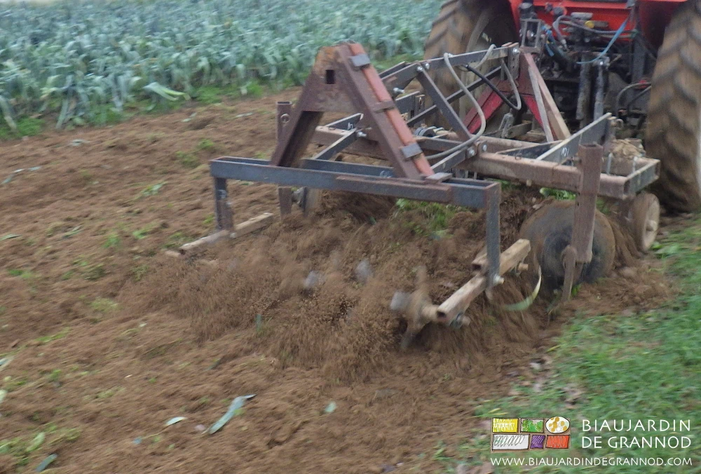photo de reprise de planche au cultibutte auto-construit complété par la houe à bêches roulantes