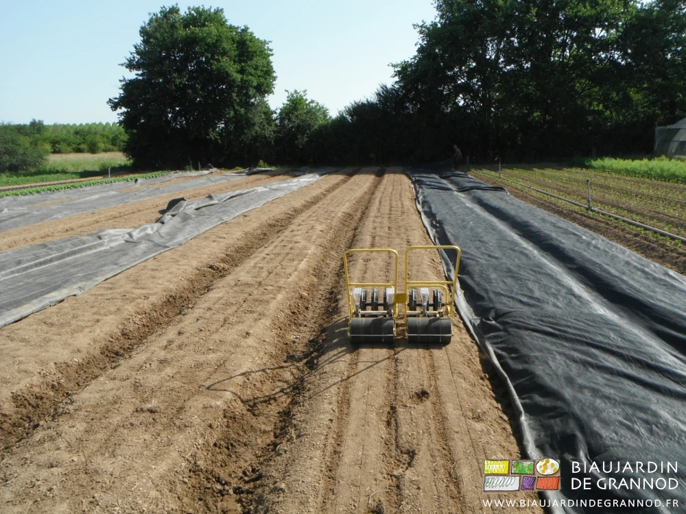photo de notre semoir auto-adapté pour 3 rangs par planche