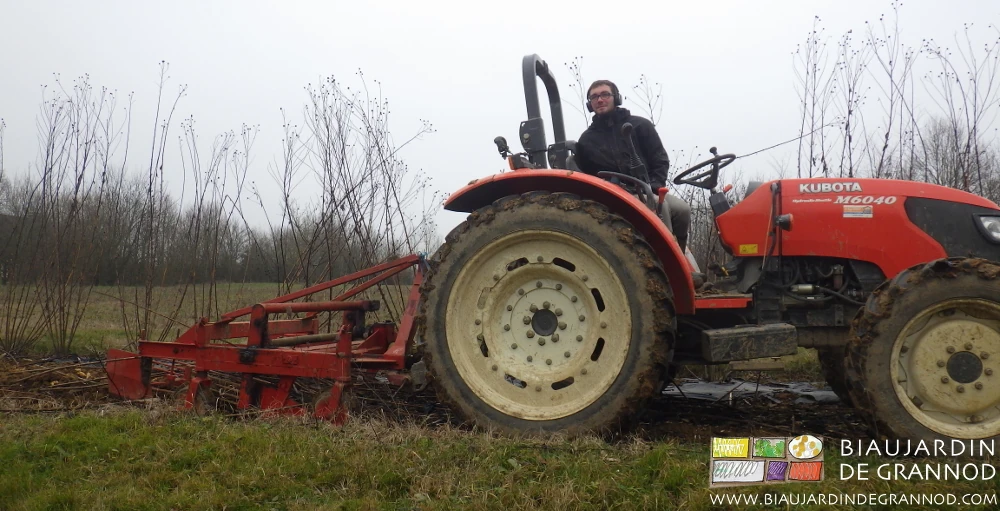photo de Matthieu au tracteur arrachant du topinambour