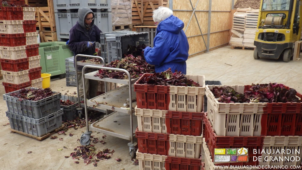 photo d'épluchage sur table roulante dans le bâtiment tunnel