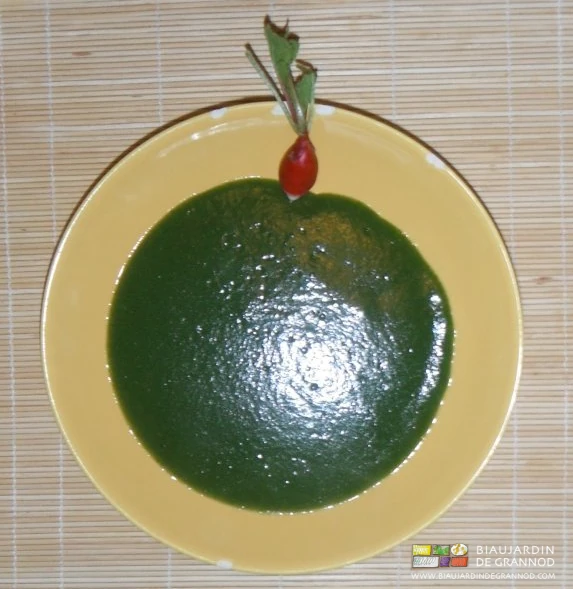photo d'une assiette de soupe pomme de terre fanes de radis