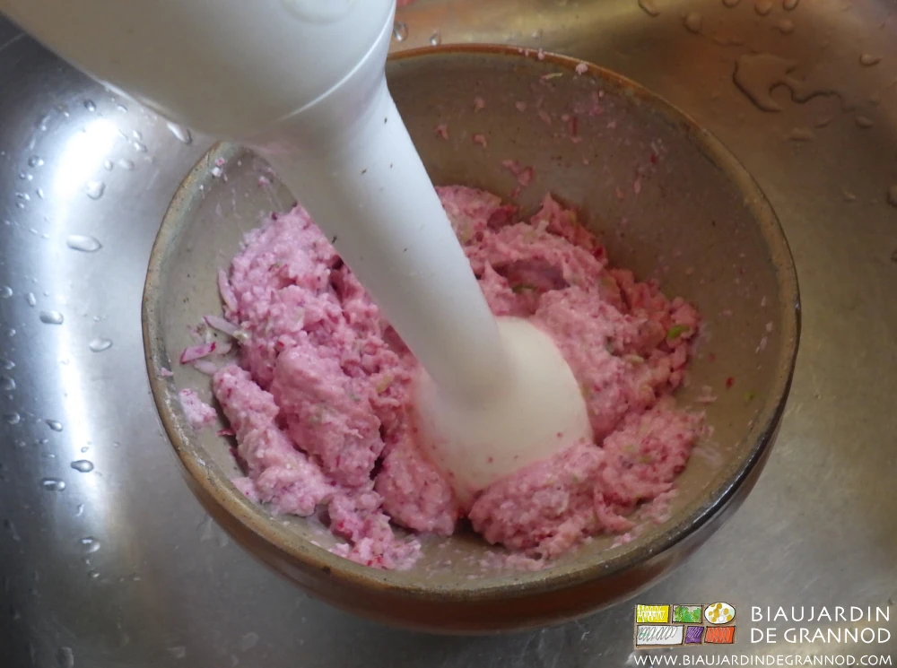 photo du mixage de tartinade de radis