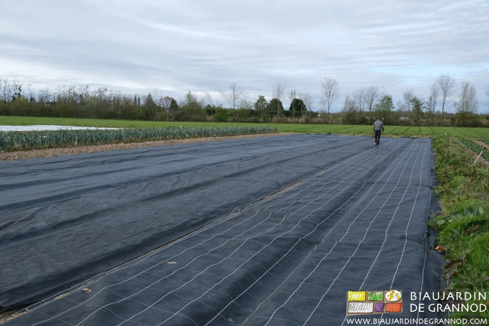 photo des planches occultées par toile tissée dont on enlève les agrafes