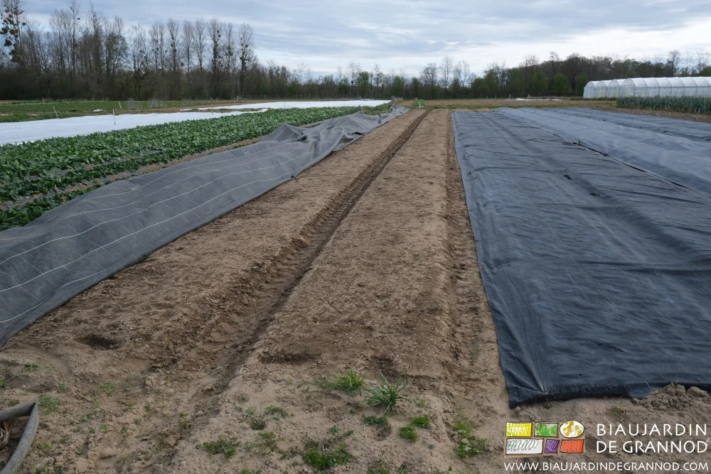 Photo de la bâche ouverte pour découvrir les planches permanentes à semer