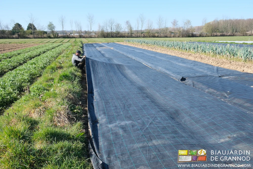 Photo de Matthieu vérifiant sous la toile d’occultation si ça lève et qu’il est temps de l’enlever