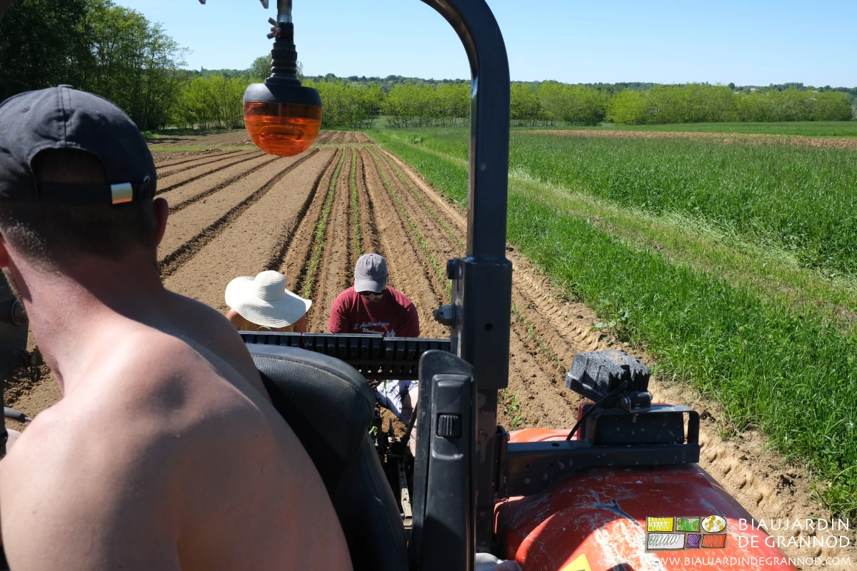 photo prise du tracteur de la plantation mécanique avec 3 personnes