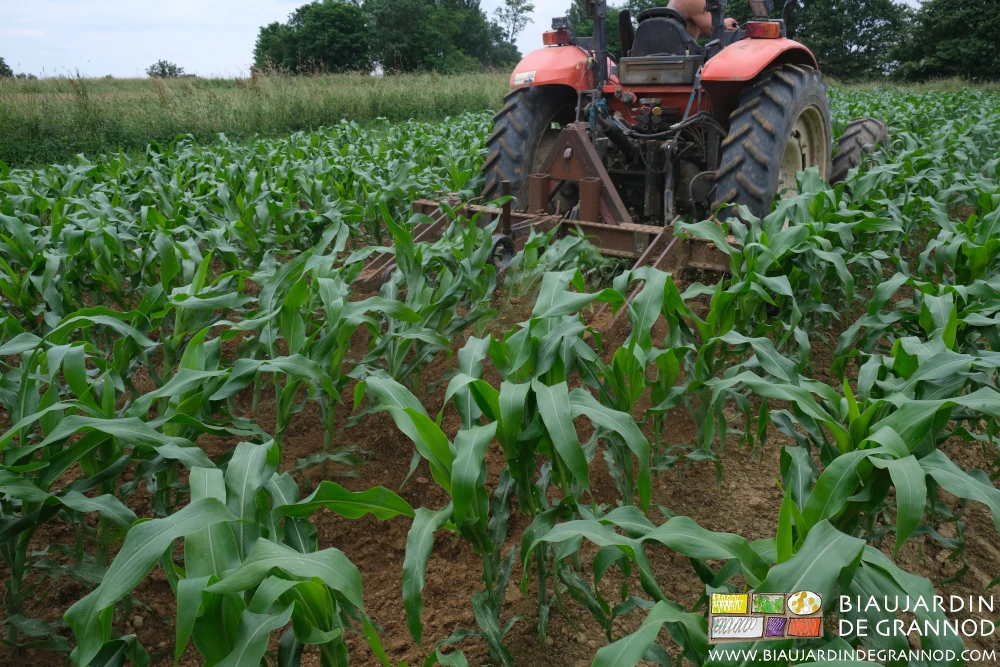 photo de la BPO au travail