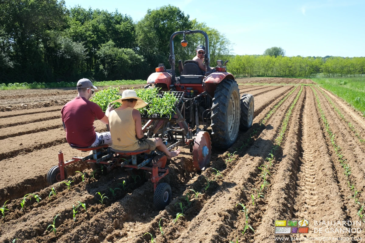 photo des 2 planteurs au travail assis sur la machine attelée au tracteur