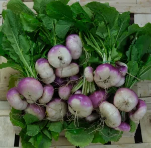 photo de navet violet en botte sur caisse bois