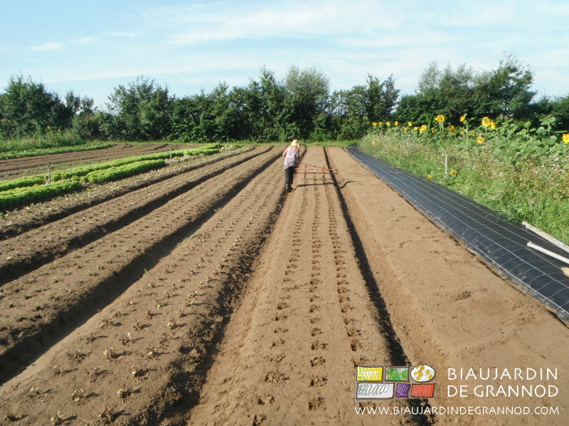 photo de Charline qui pousse le marqueur à mottes sur la planche