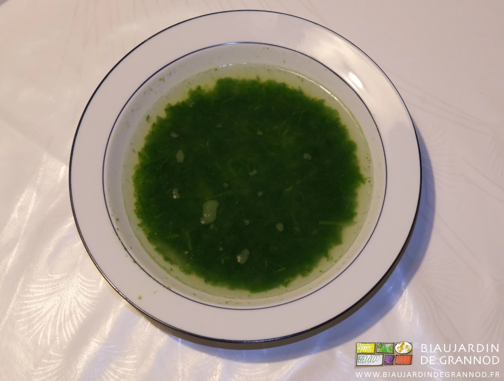 photo d'une soupe claire de feuilles de radis peu cuites