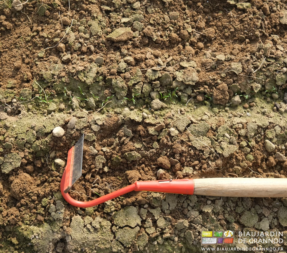 photo de la râpette posée montrant la lame montée sur un col de cygne