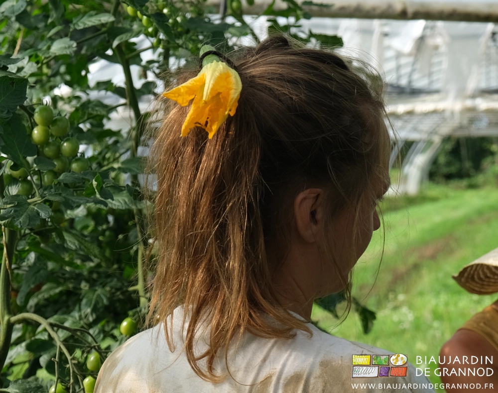 photo d'une courgette avec sa fleur ornant la queue de cheval d'une jeune salariée
