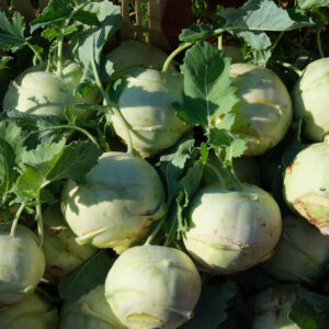 photo d'une cagette de chou rave blanc bien ensoleillés