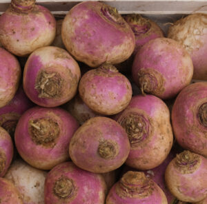 photo de navets violets non lavés sur une cagette bois