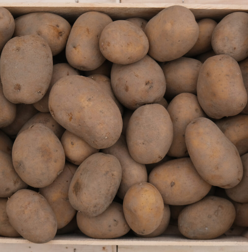photo de pomme de terre d'hiver dans une cagette bois