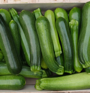 photo de courgette verte en cagette bois