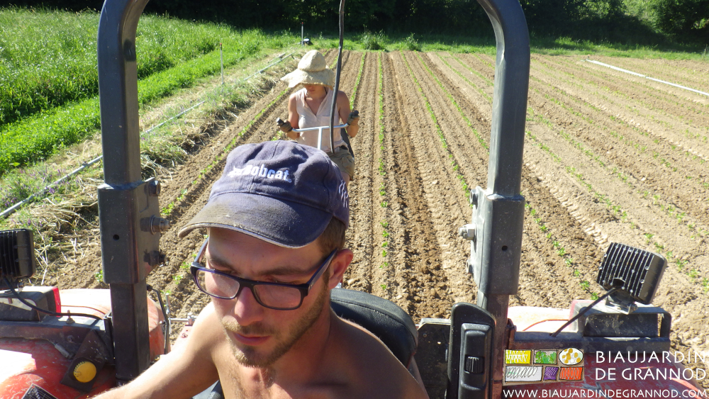 photo de Matthieu concentré sur la conduite du tracteur et Charline concentrée sur celle de la Duo