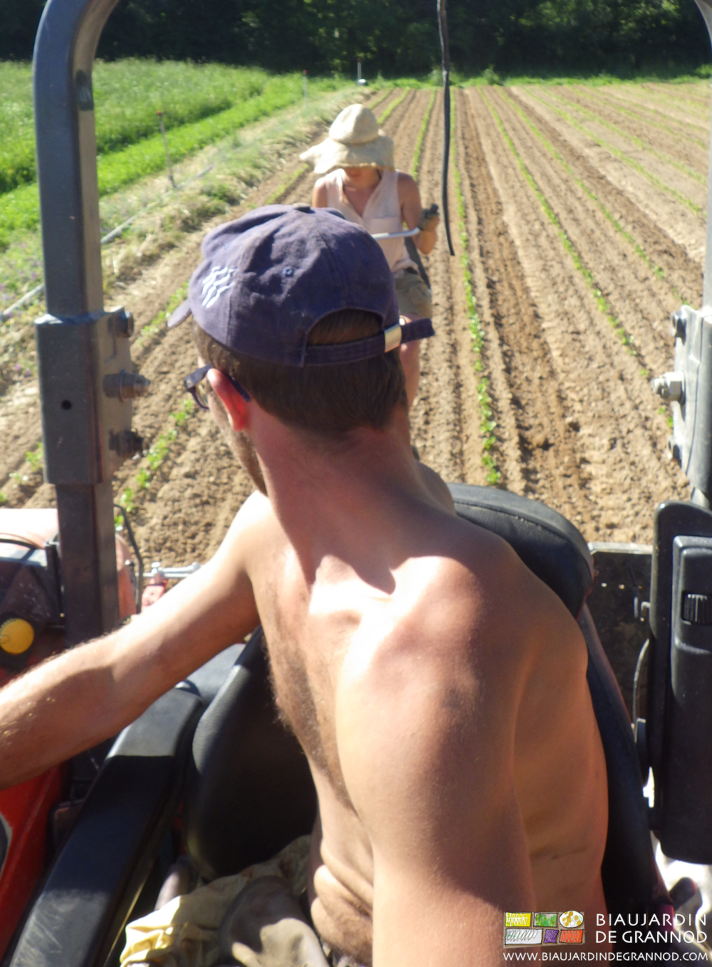vue depuis l'avant de Matthieu en torsion dorsale pour suivre les réglages de la bineuse