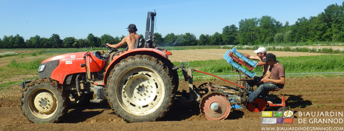 photo de l'équipe assis sur tracetur et planteuse pour mise en place du céleri