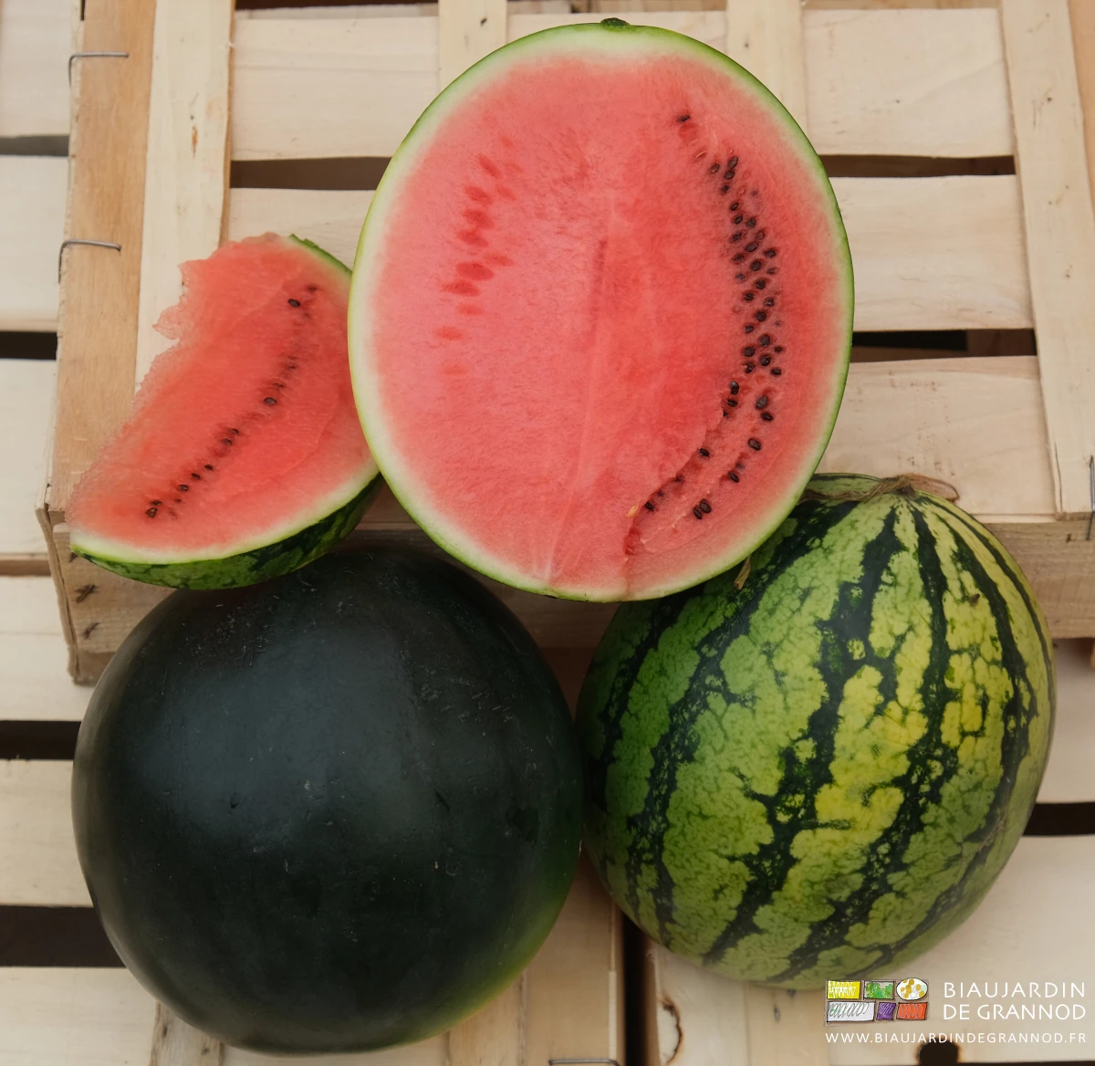 photo de quartier de pastèque et fruit entier disposés sur cagette bois