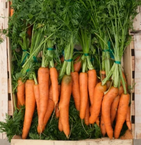 photo de bottes de carottes fanes lavées rangées en caisse bois