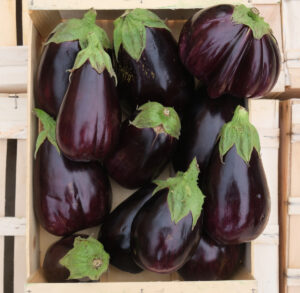 photo d'aubergine violette en cagette bois