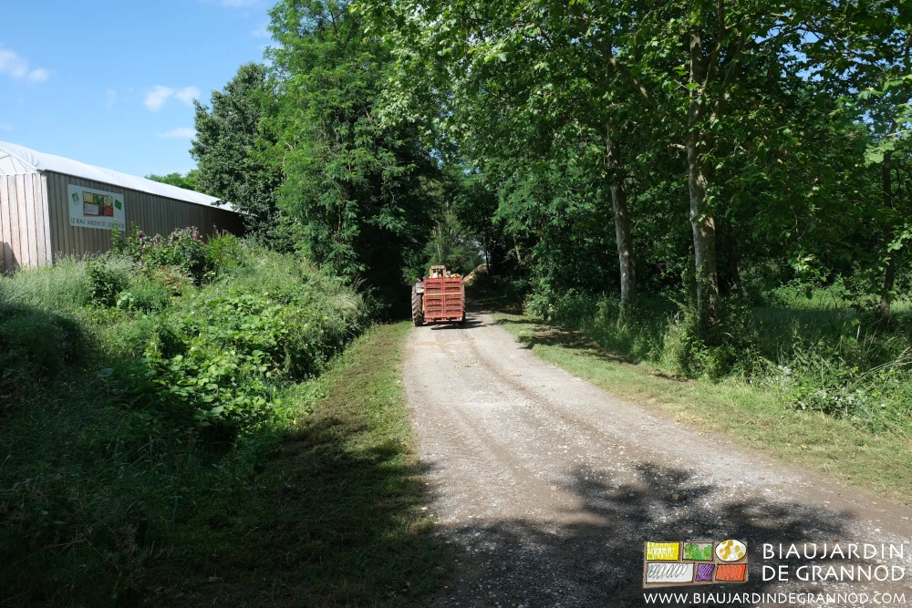 photo de la palette de caisses de pois sur le chemin de la ferme avec le tracteur