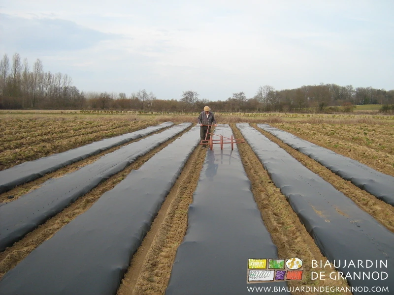 photo du Biau jardinier canal historique poussant le rouleau perceur sur les planches filmées