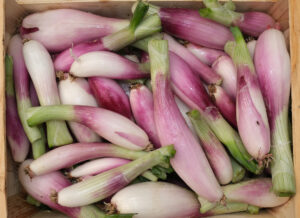 photo de cagette d'oignon de Simiane frais aux tiges coupées